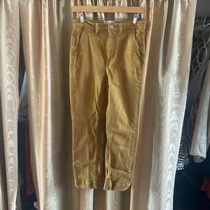 Everlane straight leg mustard pant